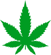 Hybrid strain icon