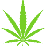 Sativa strain icon
